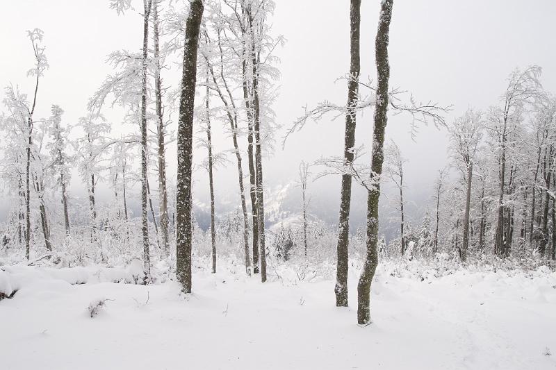 04 - Vallée de la Haute-Meurthe.jpg